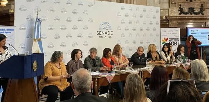 Conmemoración por el 10º aniversario de la Ley de Identidad de Género en Argentina.