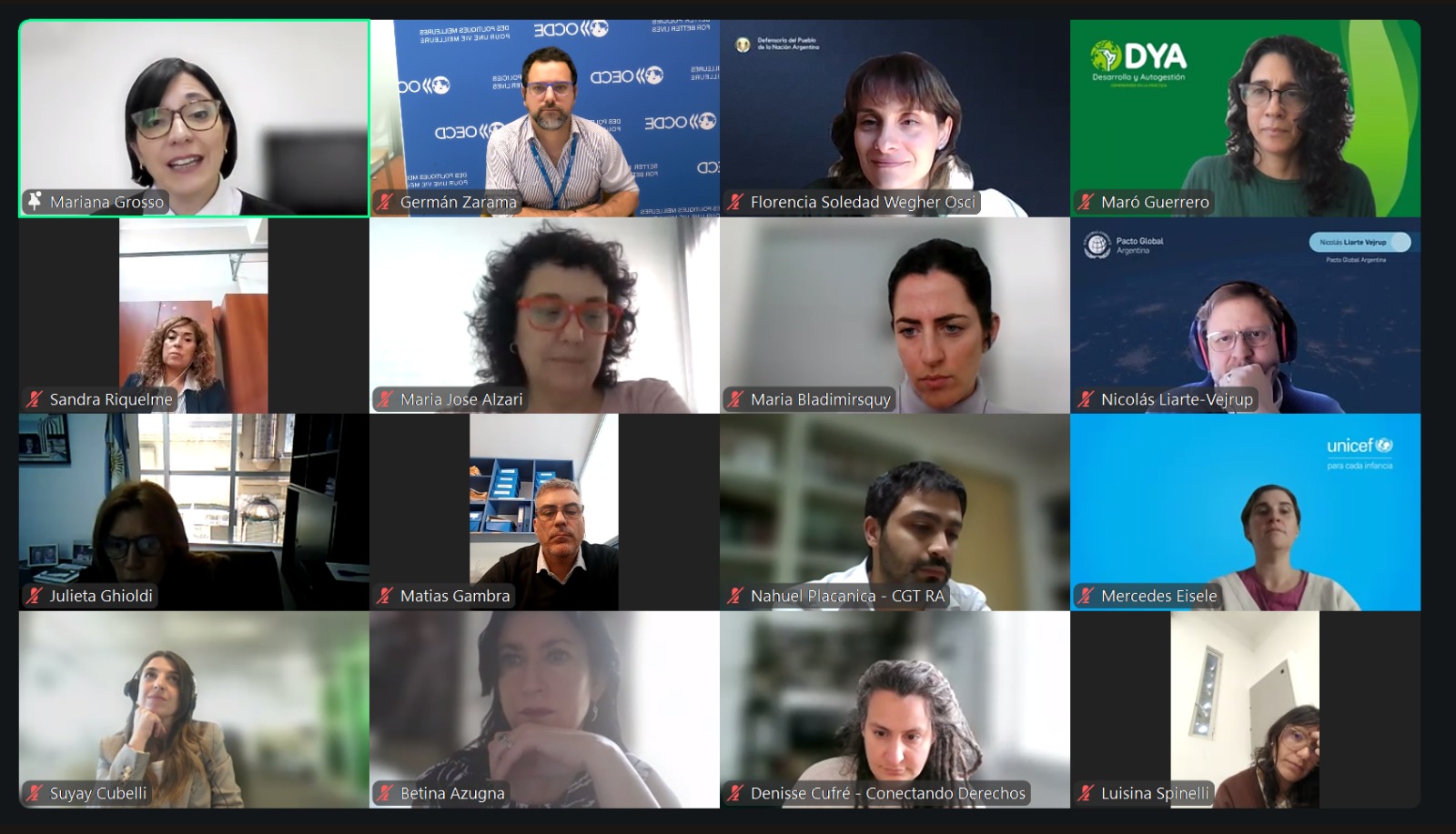 La Defensoría del Pueblo de la Nación organizó un evento virtual sobre “Experiencias y oportunidades para el desarrollo de la debida diligencia en Argentina”